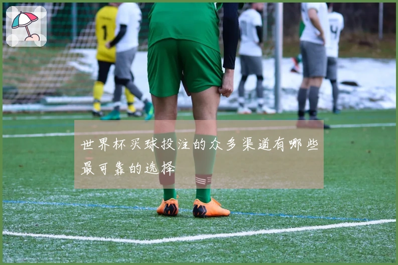 世界杯买球投注的众多渠道有哪些最可靠的选择