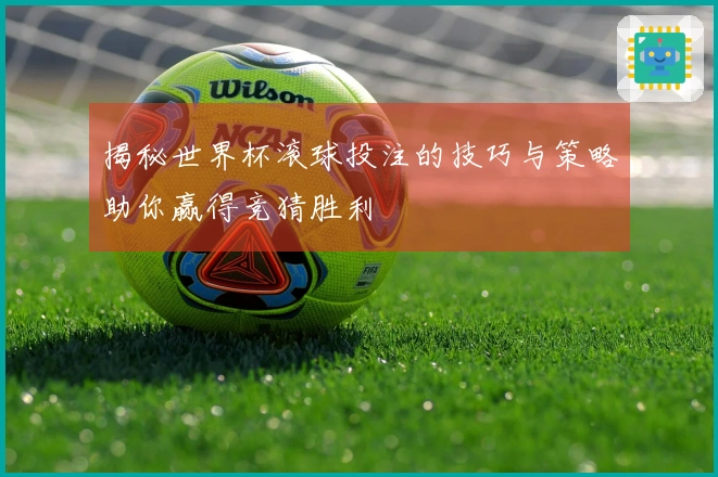 揭秘世界杯滚球投注的技巧与策略助你赢得竞猜胜利