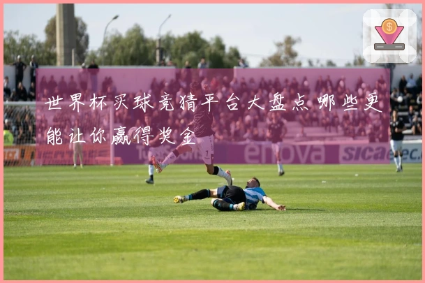 世界杯买球竞猜平台大盘点 哪些更能让你赢得奖金