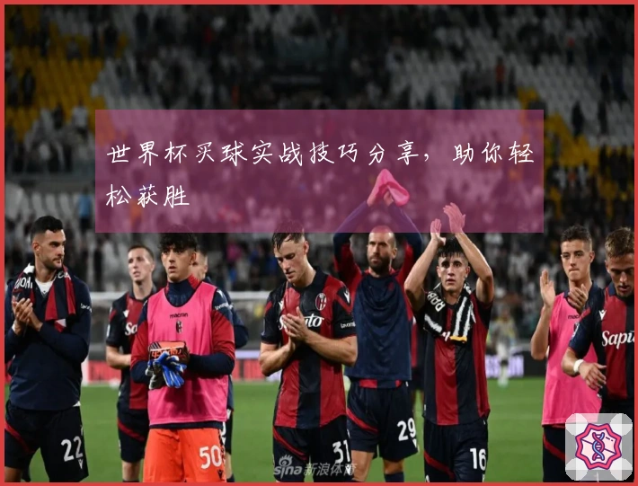 世界杯买球实战技巧分享，助你轻松获胜