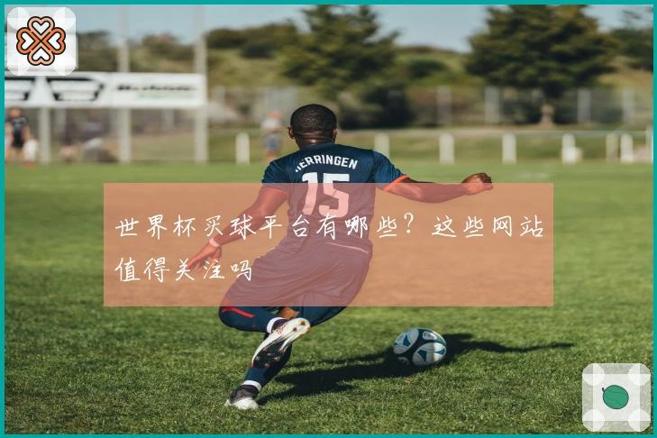 世界杯买球平台有哪些？这些网站值得关注吗