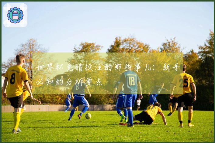 世界杯竞猜投注的那些事儿：新手必知的分析要点