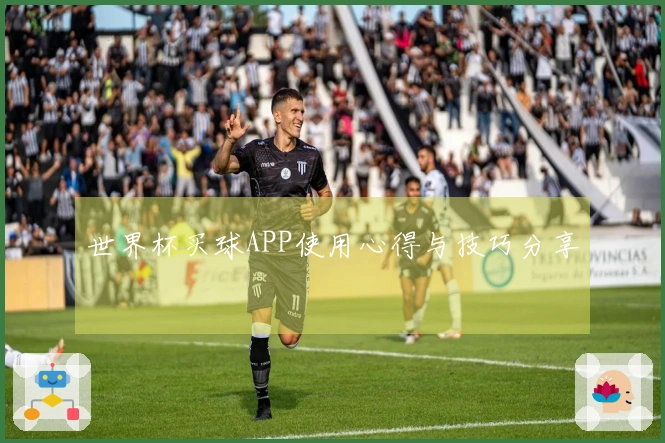 世界杯买球APP使用心得与技巧分享