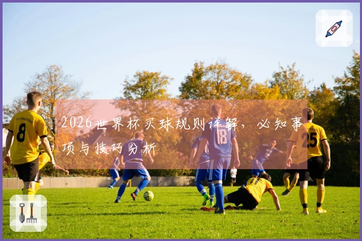 2026世界杯买球规则详解，必知事项与技巧分析