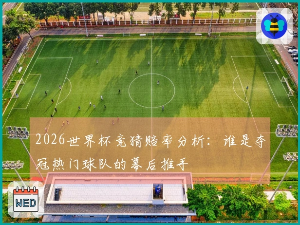 2026世界杯竞猜赔率分析：谁是夺冠热门球队的幕后推手