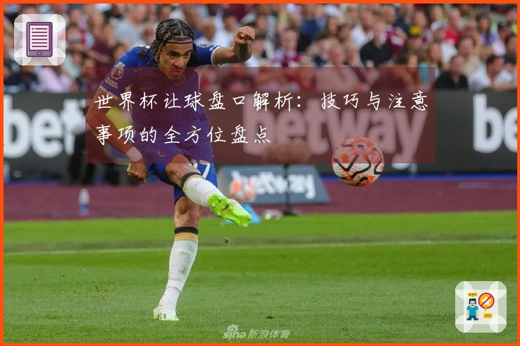 世界杯让球盘口解析：技巧与注意事项的全方位盘点