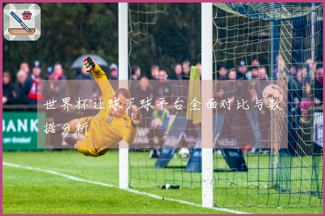 世界杯让球买球平台全面对比与数据分析