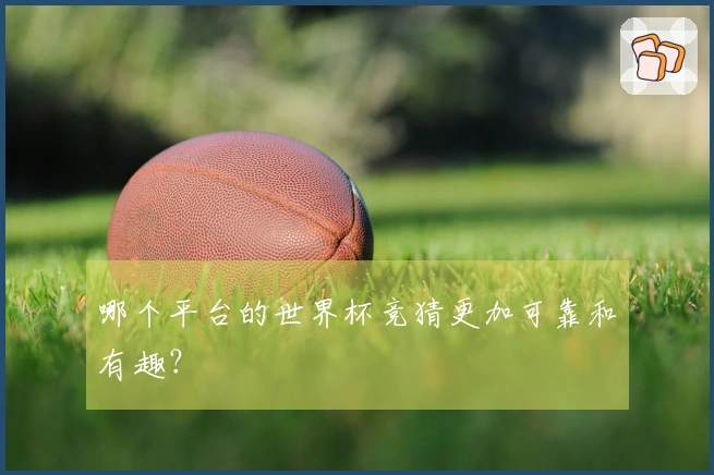 哪个平台的世界杯竞猜更加可靠和有趣？