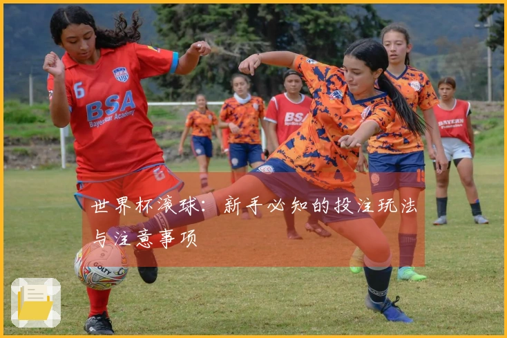 世界杯滚球：新手必知的投注玩法与注意事项