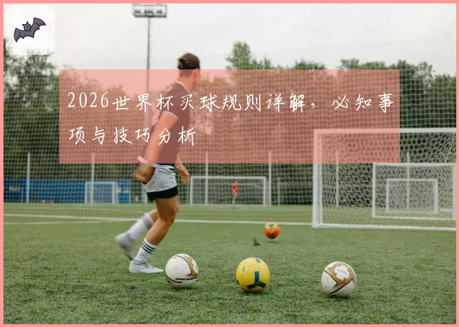 2026世界杯买球规则详解，必知事项与技巧分析
