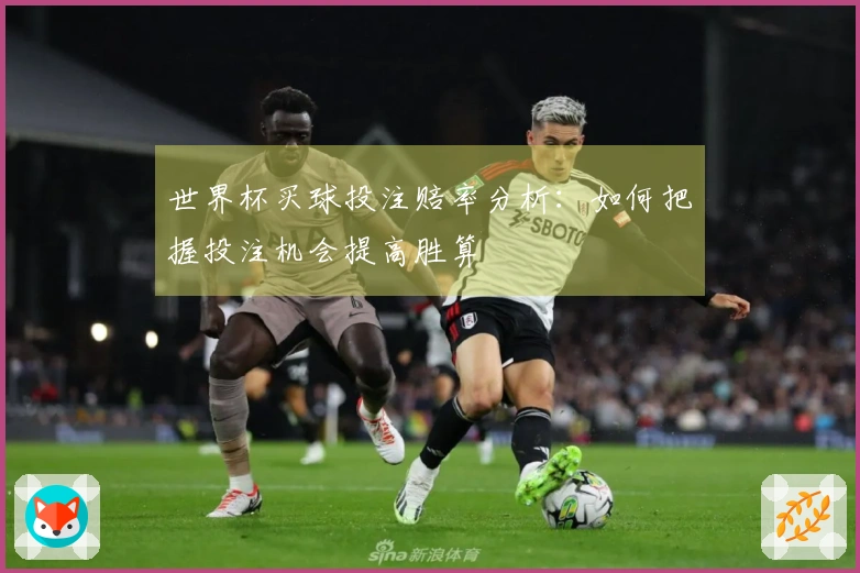 世界杯买球投注赔率分析：如何把握投注机会提高胜算