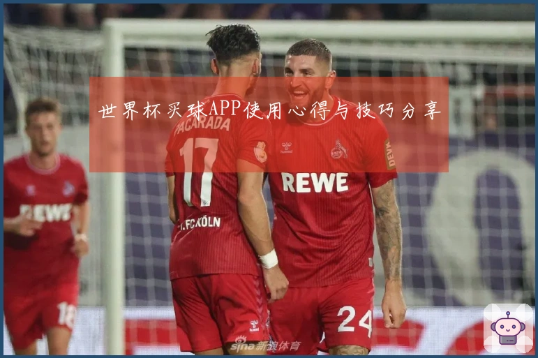 世界杯买球APP使用心得与技巧分享