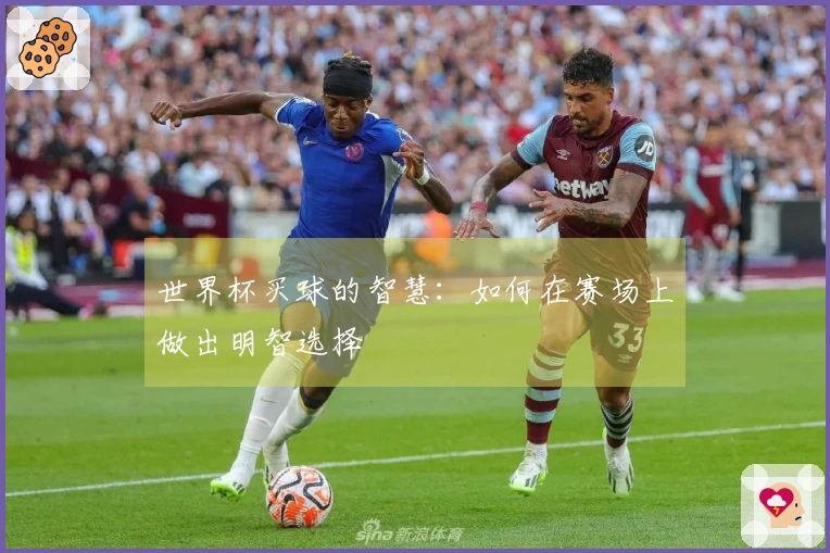 世界杯买球的智慧：如何在赛场上做出明智选择