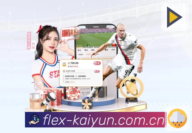 平台安全流程图